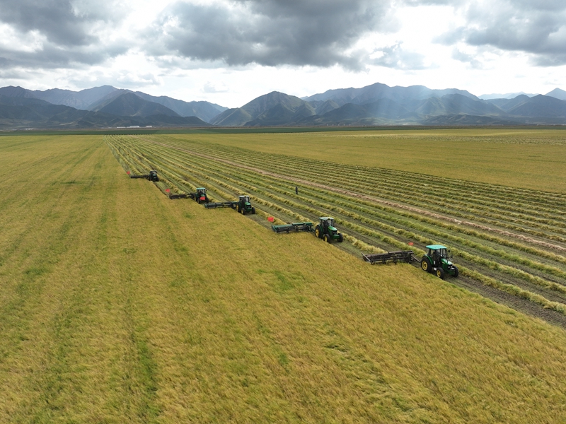 DJI_0091.JPG