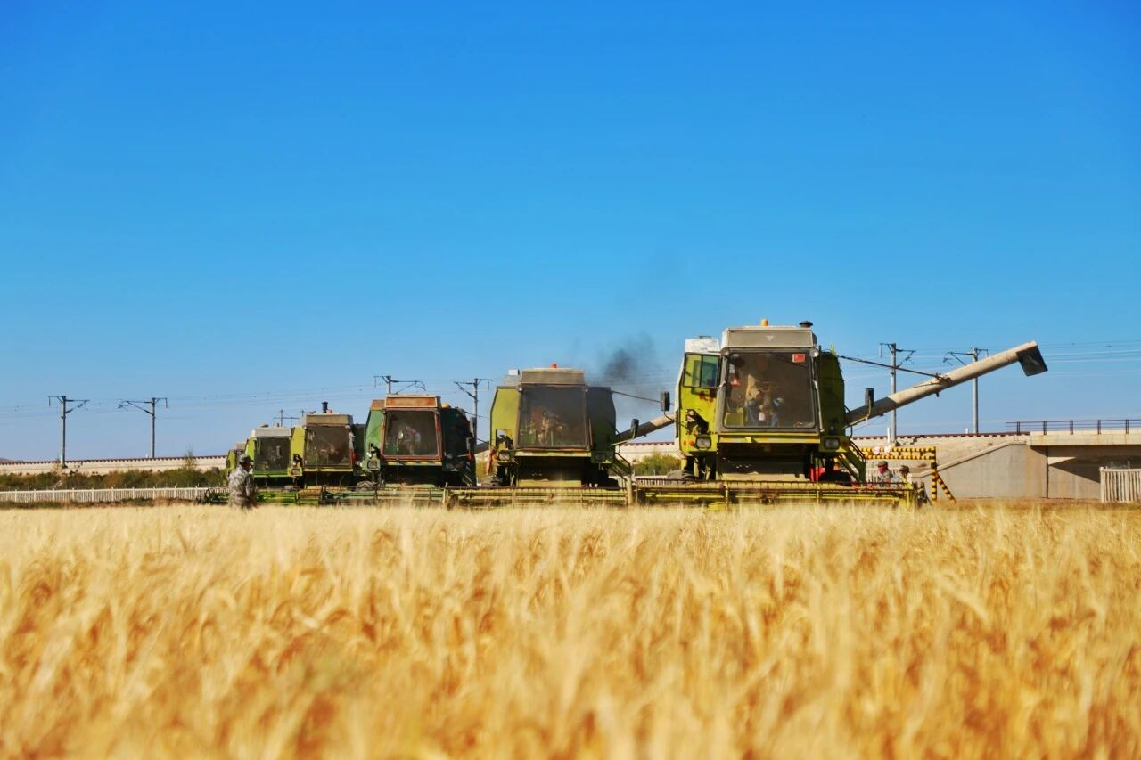 6c3171b41408a500436f142767f6c85d.png 6c3171b41408a500436f142767f6c85d.png